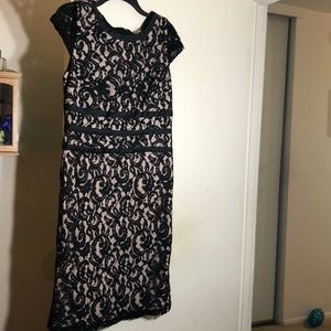 A lace Beige Black Dress